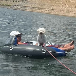 Meet your Posher, Audrey